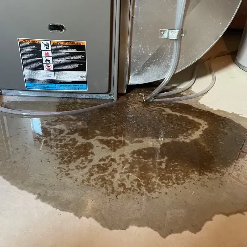 Appliance Leak Cleanup in Shorewood-Tower Hills-Harbert, MI